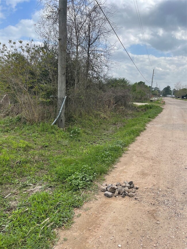 TBD Ibis Rd, Hockley, TX 77447 - photo 3