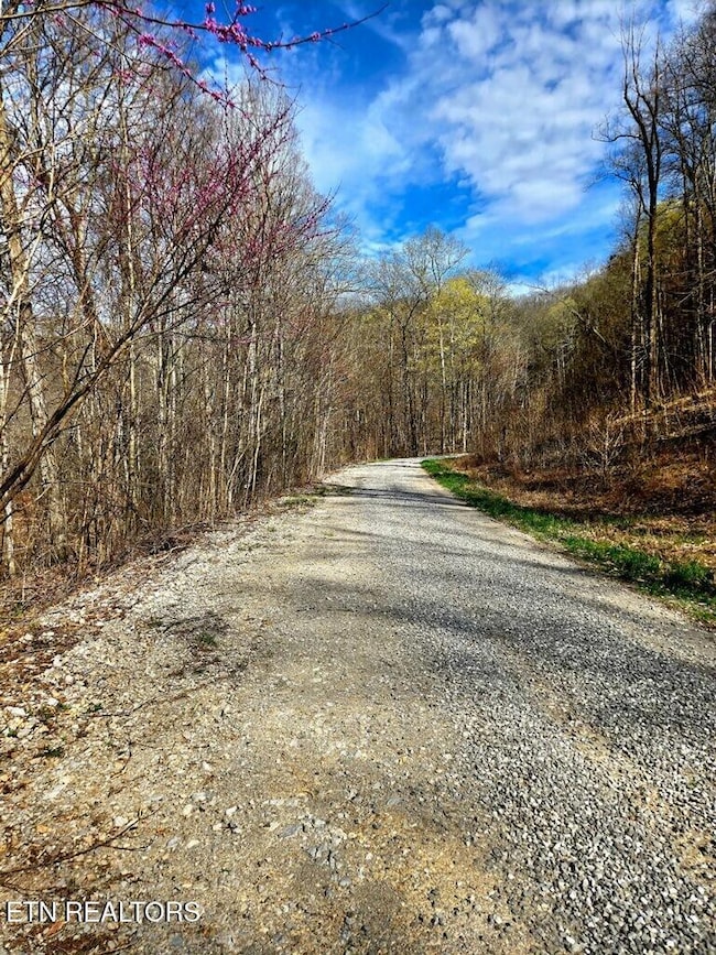 lot 5 Apache Rd, Jamestown, TN 38556 - photo 4