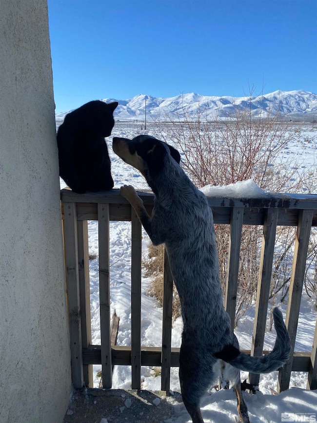 6055 Mountain View Dr, Winnemucca, NV 89445 - photo 5