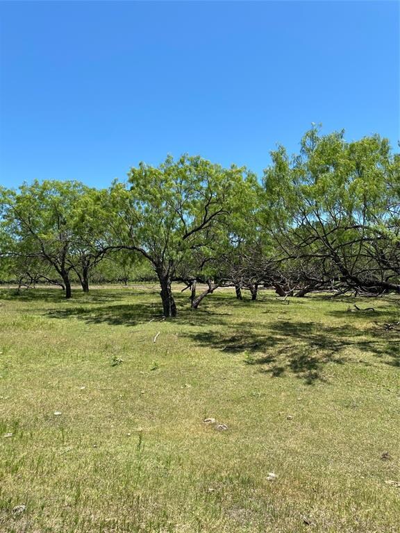 Lot 4 TBD Gin Rd, Ennis, TX 75119 - photo 2