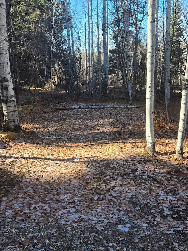 827 E North Fork Rd S unit 827, Fairview, UT 84629 - photo 7