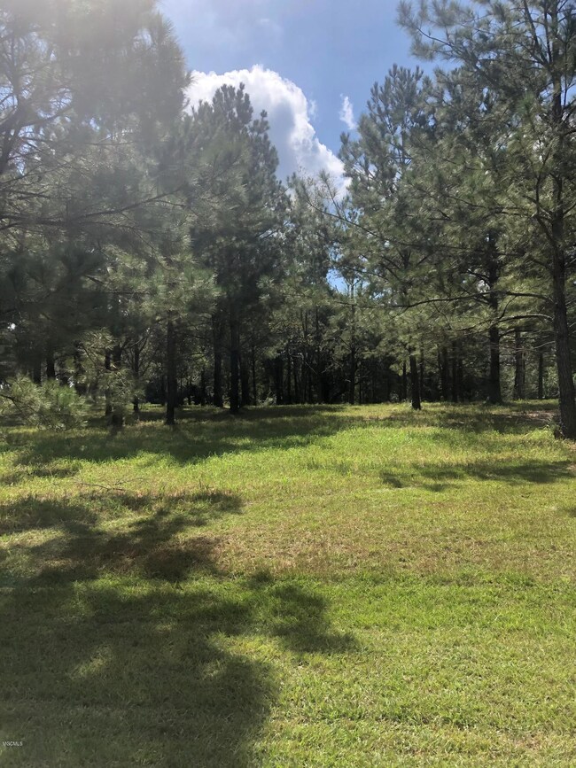 0 Burgundy Dr, Lucedale, MS 39452 - photo 6