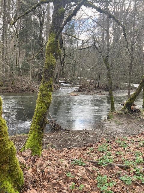 Williams Creek Frontage
