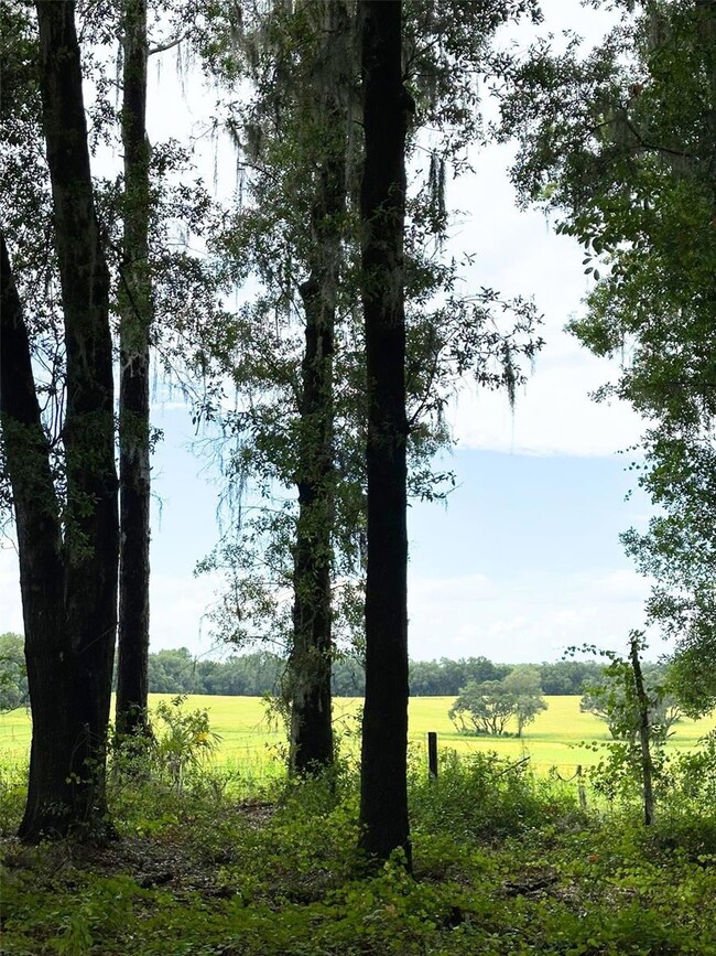 TBD SW 69th Place, Dunnellon, FL 34431 - photo 2