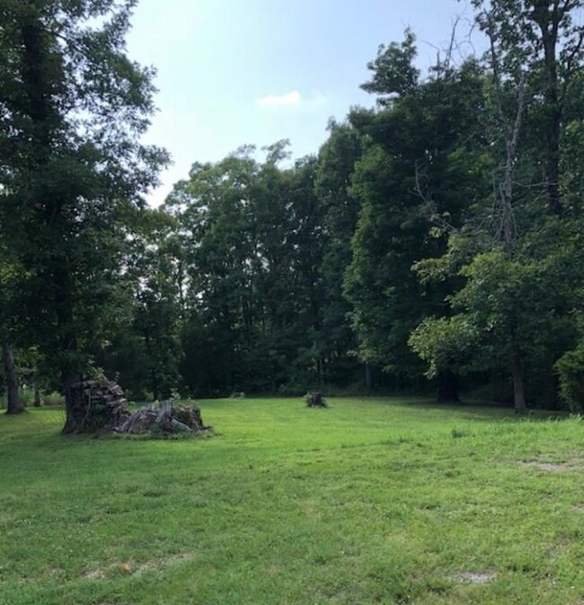 17770 S Highway 71, Winslow, AR 72959 - photo 5