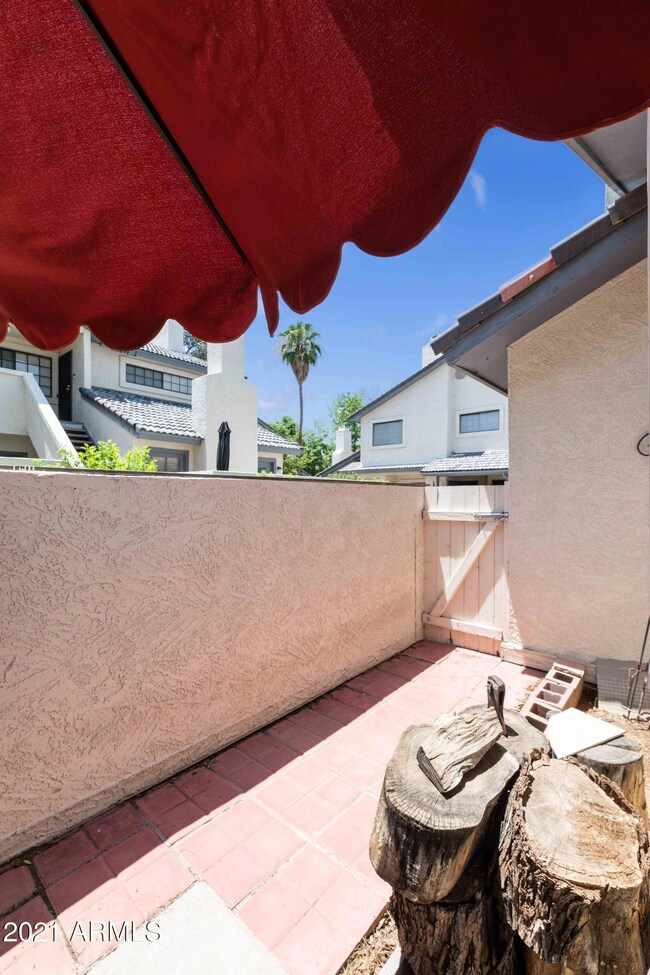 Back Patio