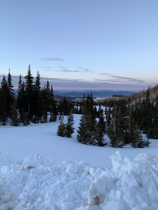 977 E Kodiak unit Lot 31 SEM, Brian Head, UT 84719 - photo 4