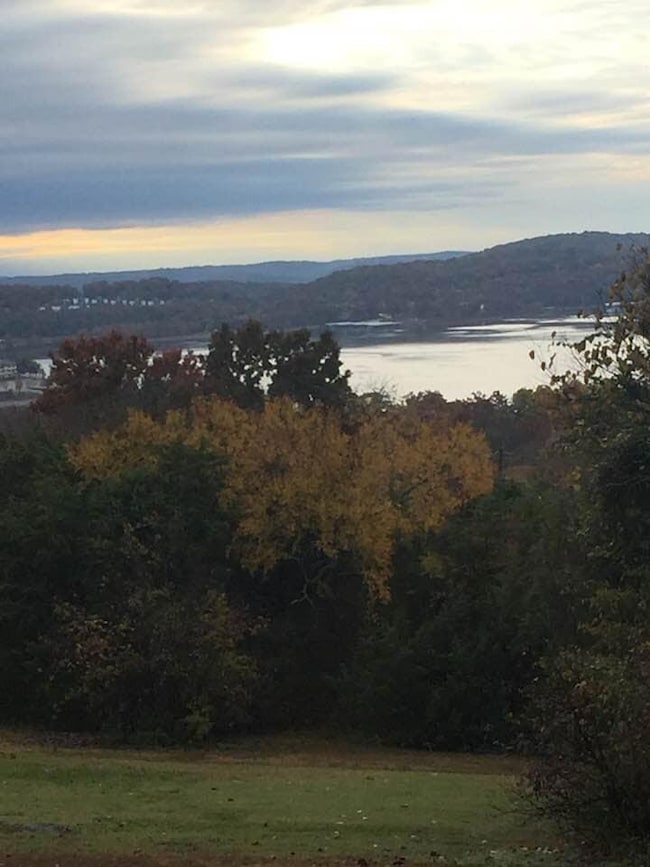 13 Skyline Dr, Kimberling City, MO 65686 - photo 7