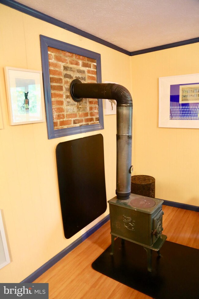 256 Snyders Ridge Rd, Mathias, WV 26812 - photo 5