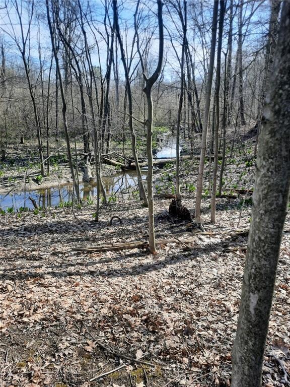 Silver Creek Stream