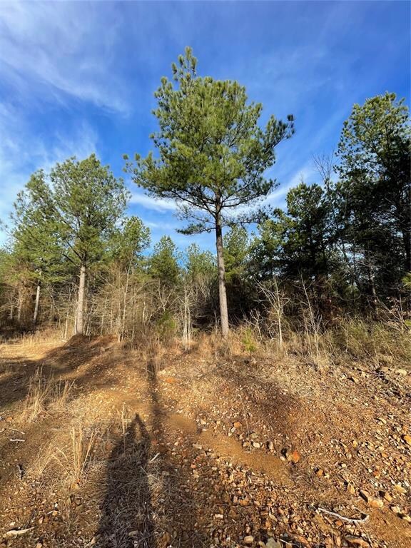 699 Timber Creek Trails South XI, Broken Bow, OK 74728 - photo 4