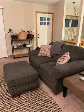 1965 Navarone Dr, Naperville, IL 60565 - photo 4