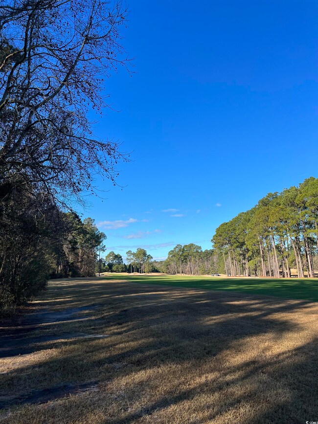 1000 MacCoa Dr unit Lot 415, Conway, SC 29526 - photo 7