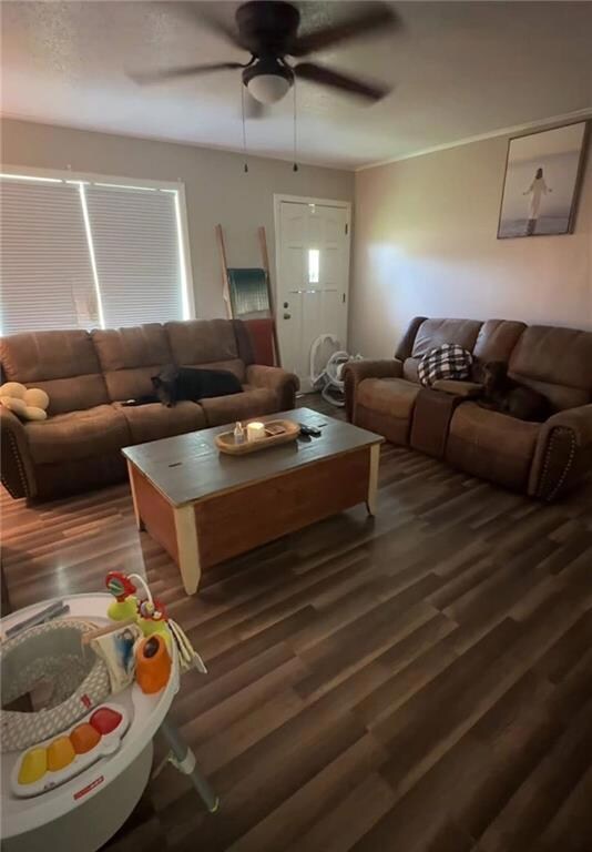 683 Booner Miller Rd, Deville, LA 71328 - photo 2