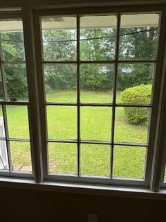 window live room