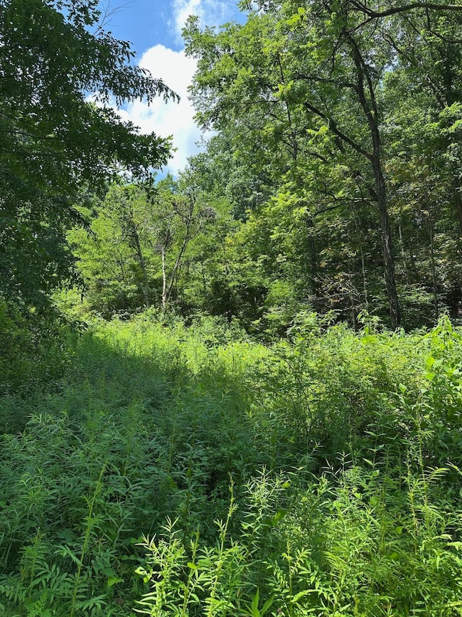 0 Bryant Hollow Rd unit 25-830, Eastern, WV 24910 - photo 6