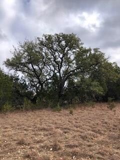 Lot 3 Armadillo Run unit 3, Fredericksburg, TX 78624 - photo 6