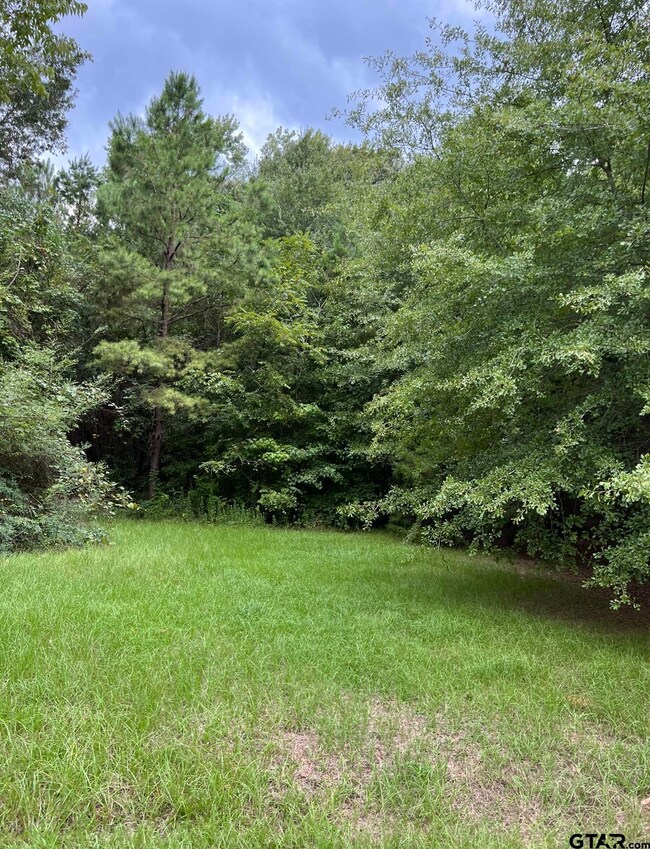 10465 Lakeshore Dr, Tyler, TX 75707 - photo 6