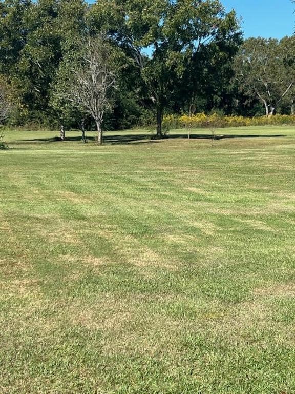 16311 Old Brady Rd, Bay Minette, AL 36507 - photo 5