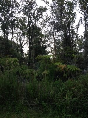 Large parcel privately parcel located 