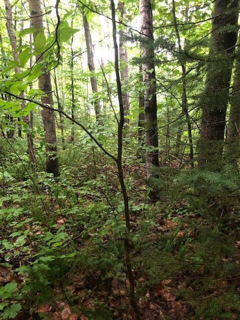 1.6 Ac Co Rd 407, Newberry, MI 49868