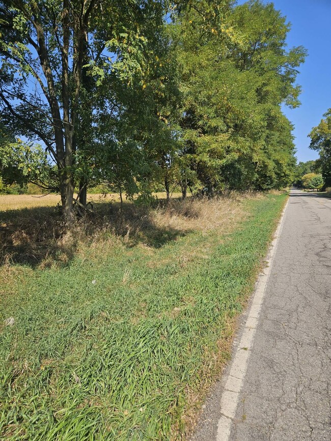 VL Thorne Rd, Horton, MI 49246 - photo 4