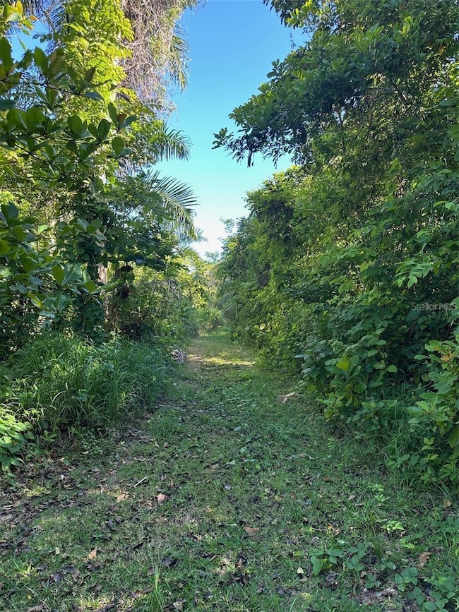 0 Carr 413 Interior, Rincon, PR 00677 - photo 4