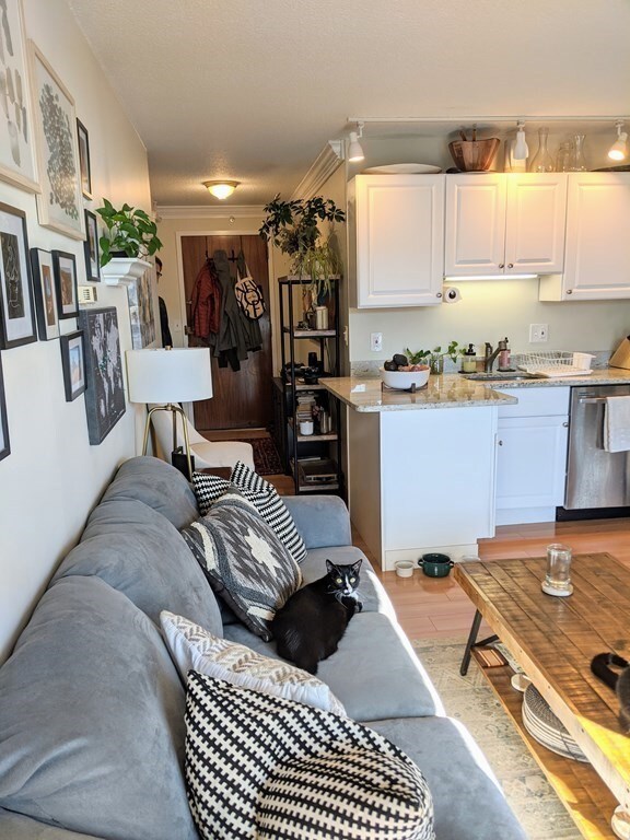 872 Mass Ave unit 411, Cambridge, MA 02139 - photo 4