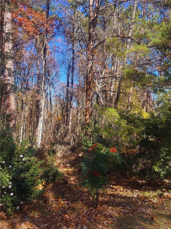 115 Beacon Ridge Cir, Keowee Key, SC 29676 - photo 4