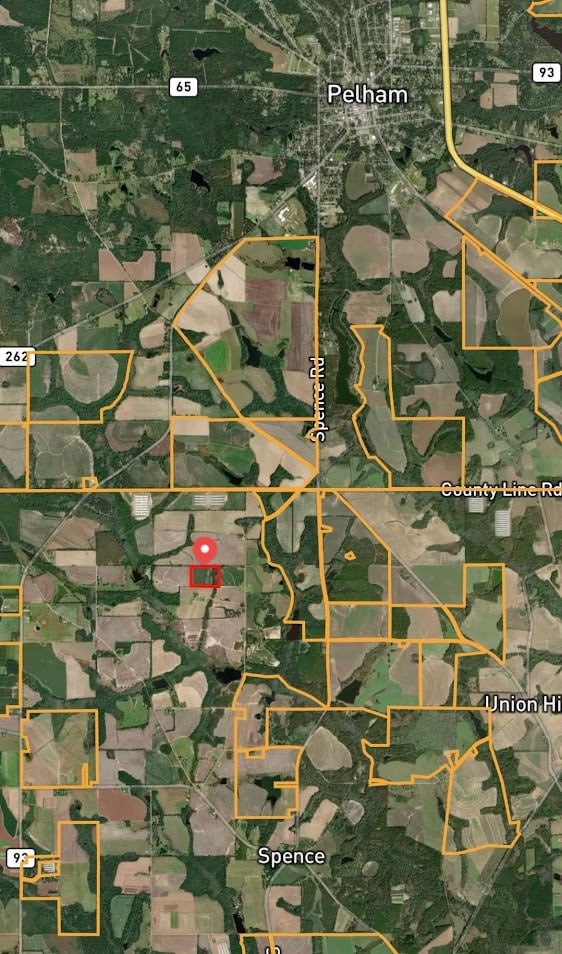 835 Mill Pond Rd, Pelham, GA 31779 - photo 3