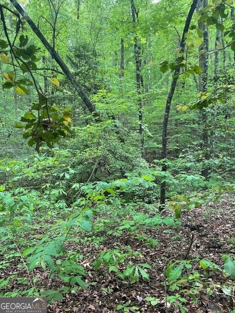 0 Mccormick Dr unit 10509566, Dawsonville, GA 30534 - photo 7