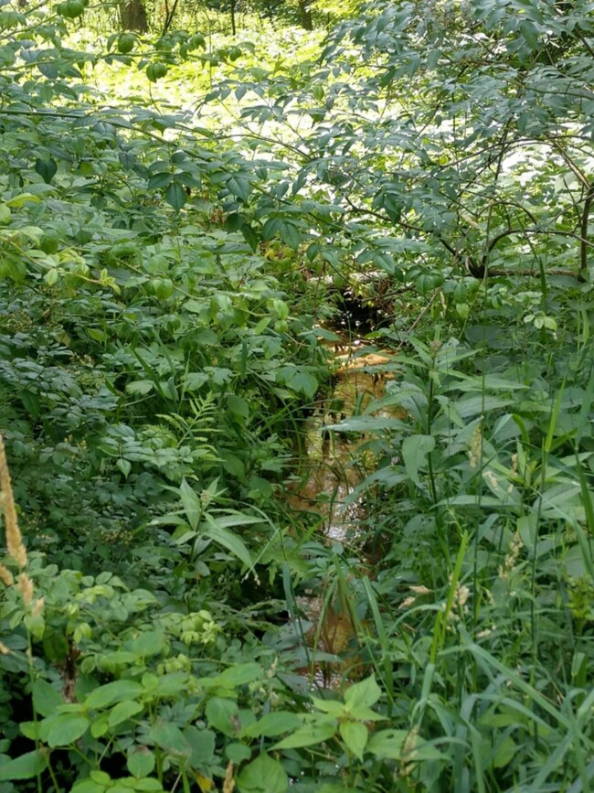 Creek on south side