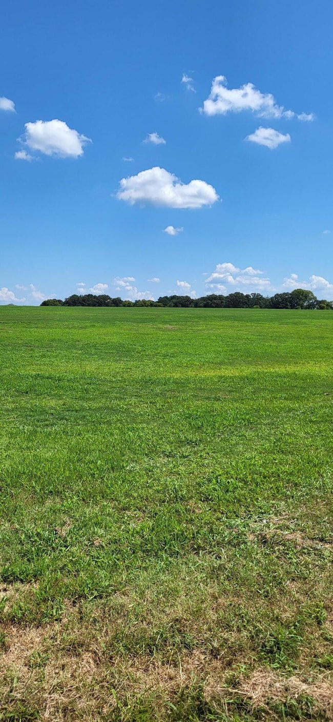 5050 Batavia Way, Wagener, SC 29164 - photo 5