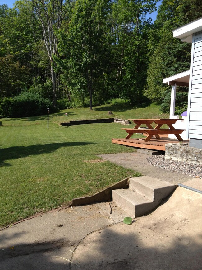 beautiful back yard!