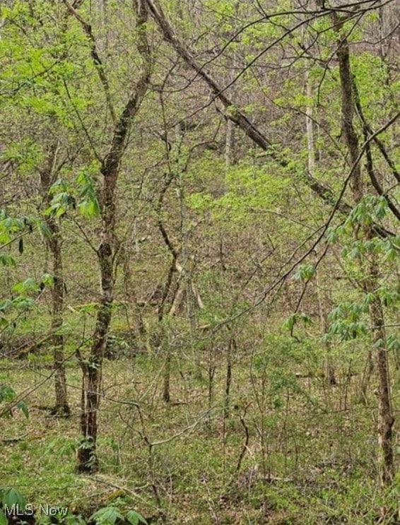 1247 Rocky Branch Rd, Linden, WV 25259 - photo 5