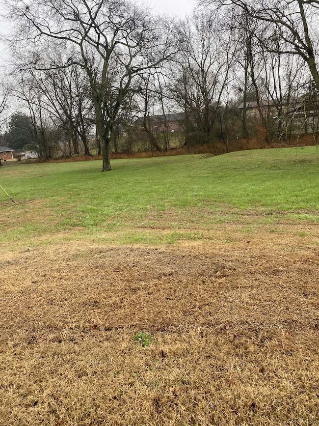 109 Mimi Cir, Pulaski, TN 38478 - photo 3