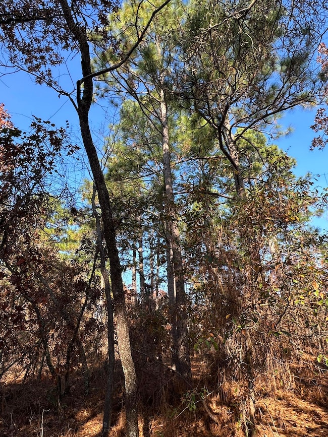 3054 Camp Josey Rd, Blythe, GA 30805 - photo 7