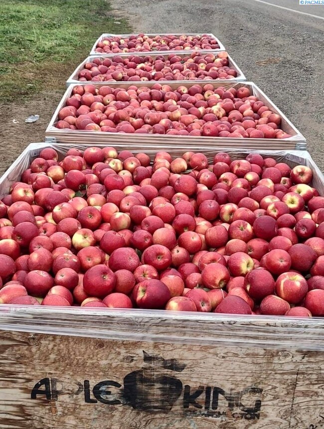 NNA Mt View Rd Grandview, Grandview, WA 98930 - photo 5