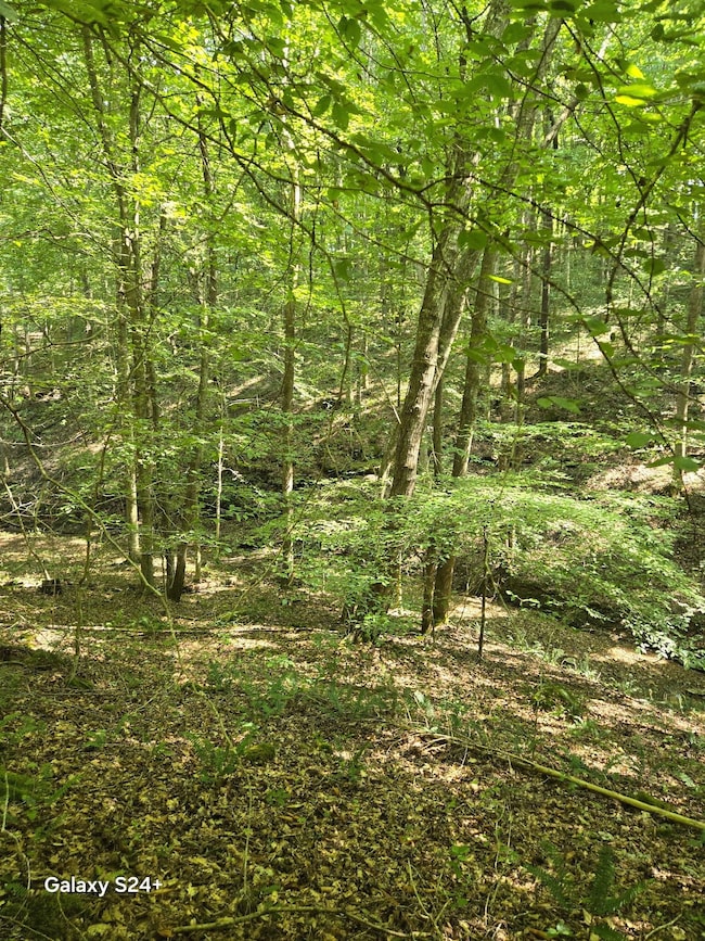 5370 Galen Rd, Lafayette, TN 37083 - photo 3