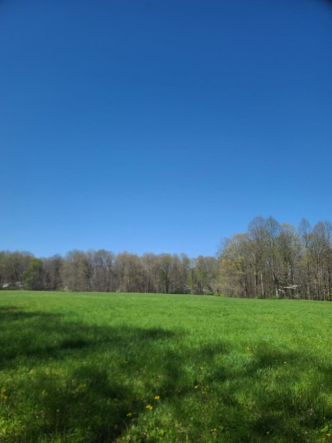 9106 Davison Rd, Oldenburg, IN 47036 - photo 4