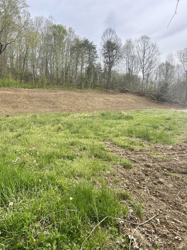 0 Howell's Mill Rd, Ona, WV 25545 - photo 2