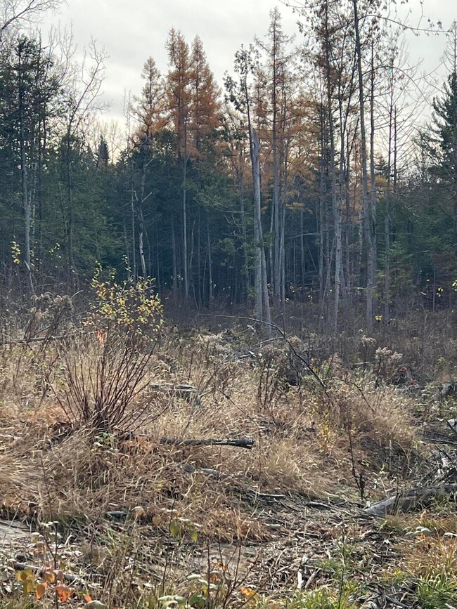 land view4