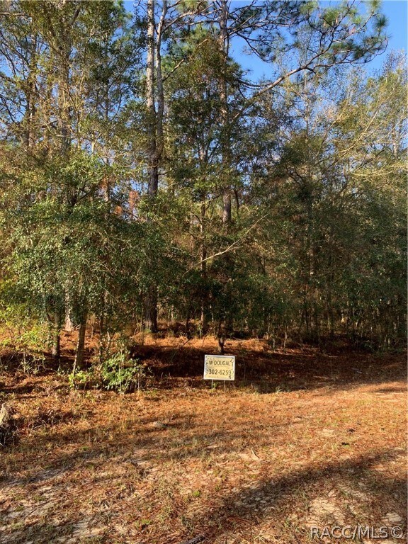 30 E Jinnita St, Hernando, FL 34442 - photo 3