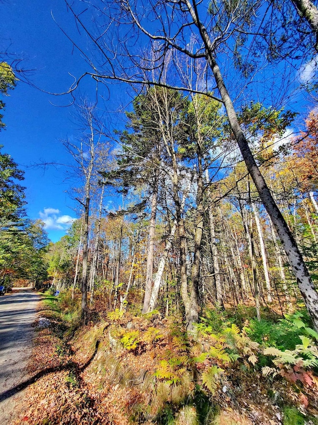 00 Swazey Ln unit 14, Bethlehem, NH 03574 - photo 3