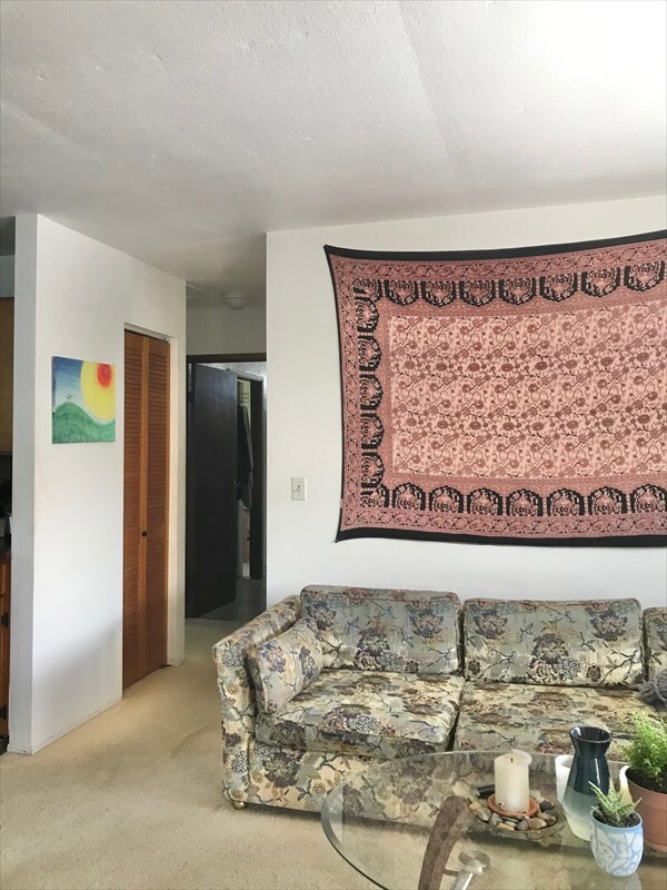 2029 Kilauea Ave, Hilo, HI 96720 - photo 6