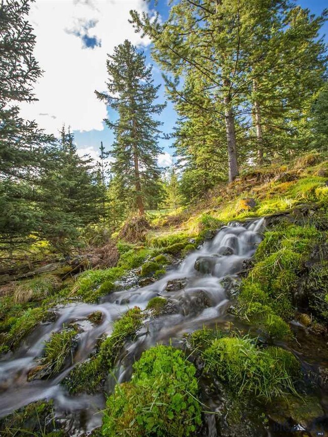 0 Towering Pines unit 183827, Big Sky, MT 59716 - photo 5