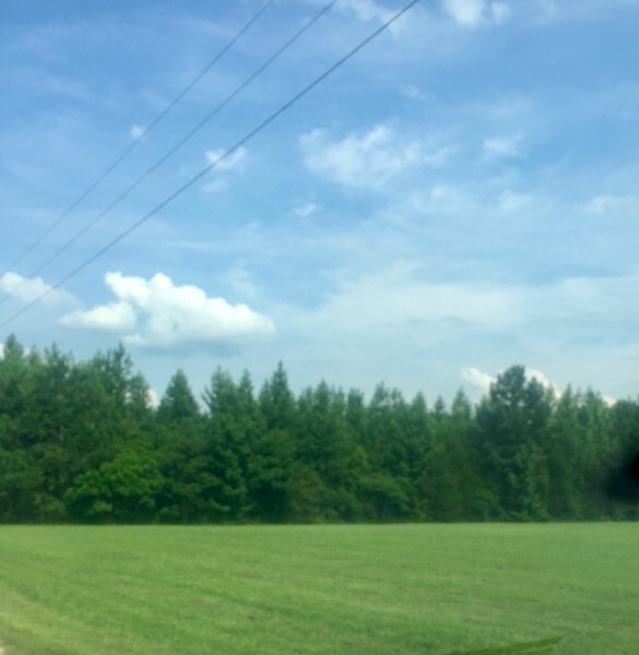 0 Whitaker Bnd Rd unit RTC2359634, Linden, TN 37096 - photo 5