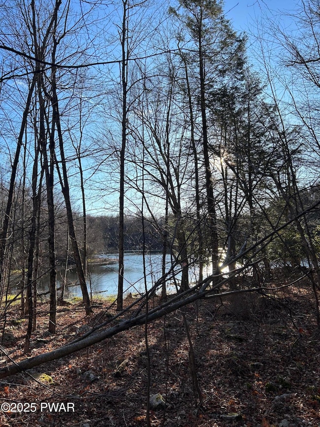 4, 5, 6, 7 Secluded Lake Rd, Newfoundland, PA 18445 - photo 4