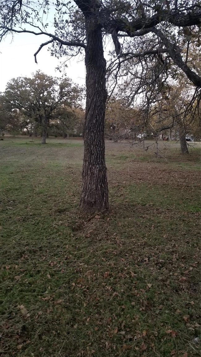 TBD Lavender Rd, Springtown, TX 76082 - photo 4