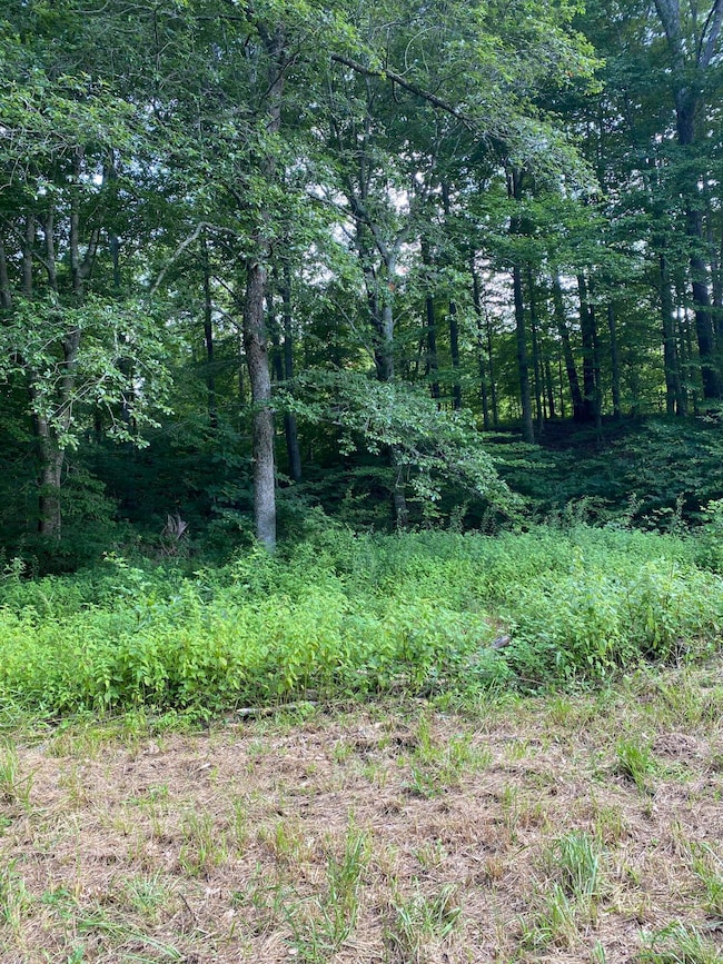 2745 Hopper Creek Rd, London, KY 40744 - photo 3